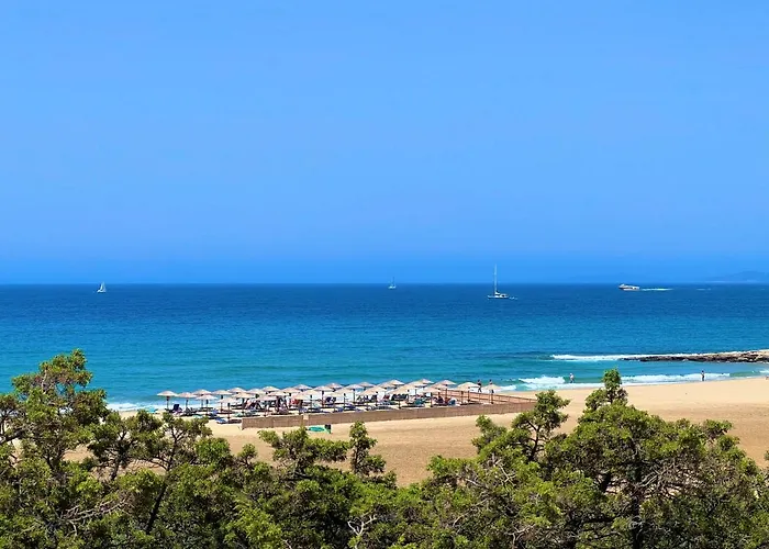 Pirgaki Seaside House Villa photo