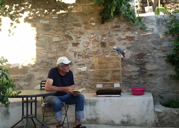 Παλιό Κελάρι Σε Πέτρινο Σπίτι Villa Ano Potamia foto