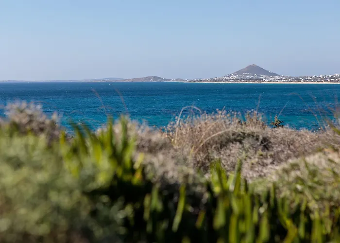 Photo de Naxos Earth Suites Mikri Vigla